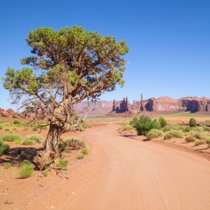 Monument Valley Drive