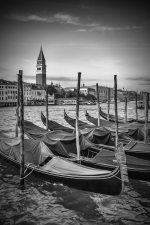VENICE Grand Canal and St Mark's Campanile black and white