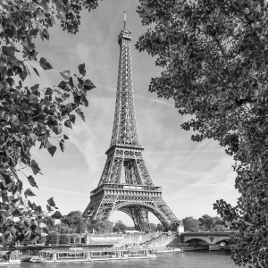 PARIS Eiffel Tower & River Seine | Monochrome