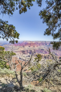 GRAND CANYON Impression from Navajo Point
