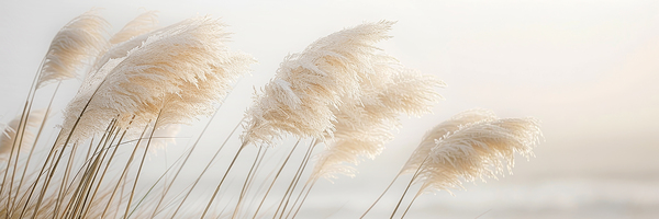 Poetry by the sea - Tender pampas grass Print