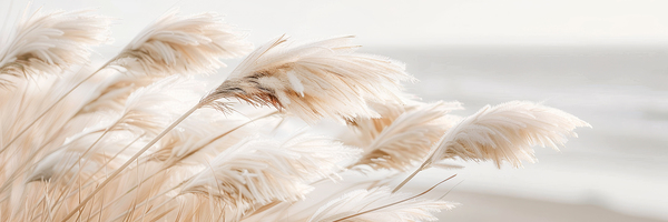 Poetry by the sea - Pampas grass idyll Print