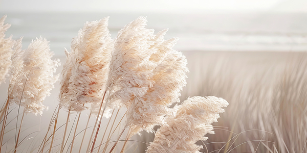 Poetry by the sea - Pampas grass panorama Print