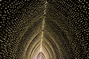 Light Cathedral