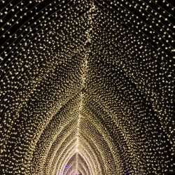 Light Cathedral