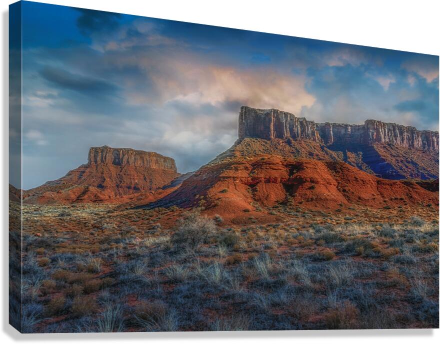 Desert Winter Canvas Print