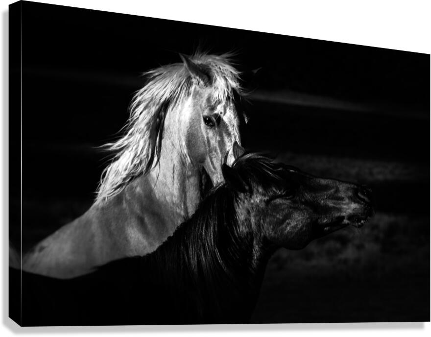 The Bite Canvas Print