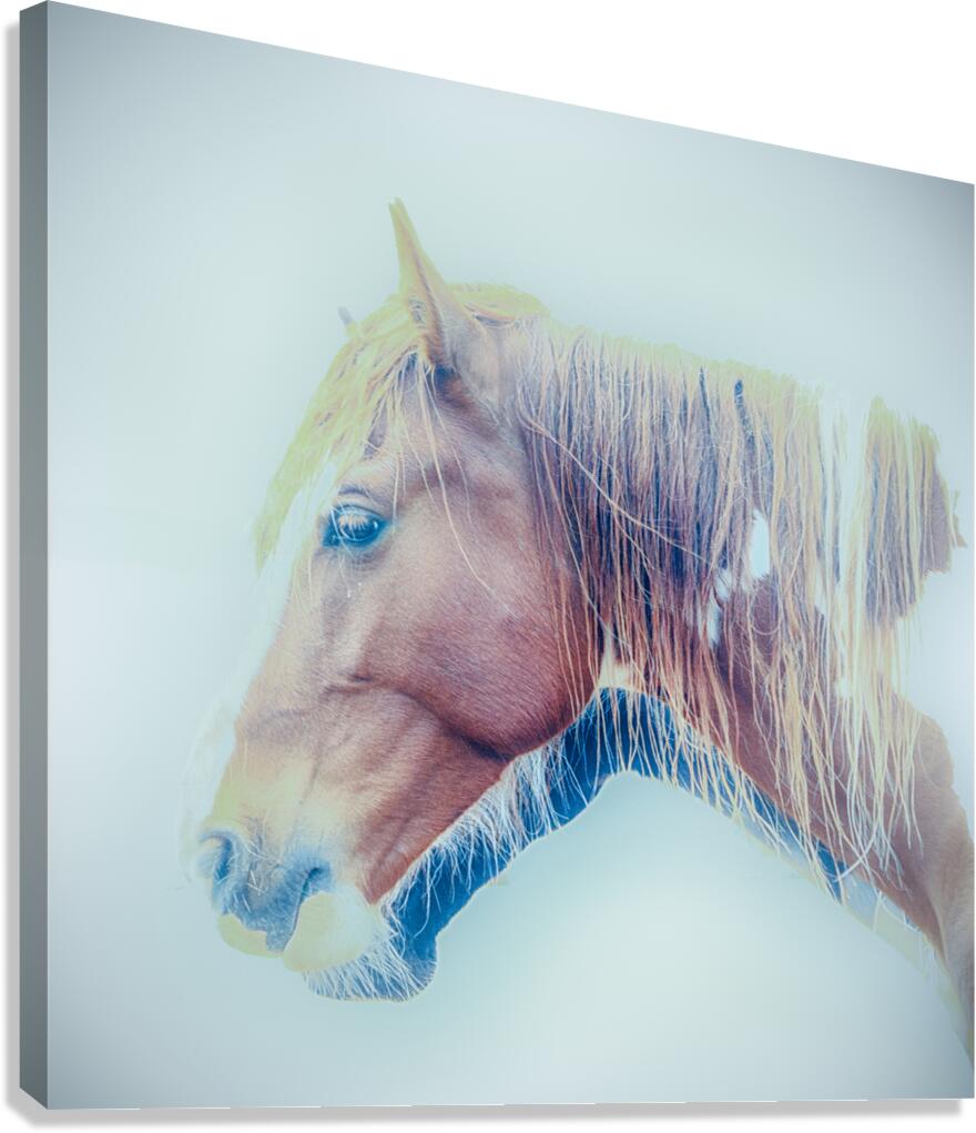 Double Chins Canvas Print