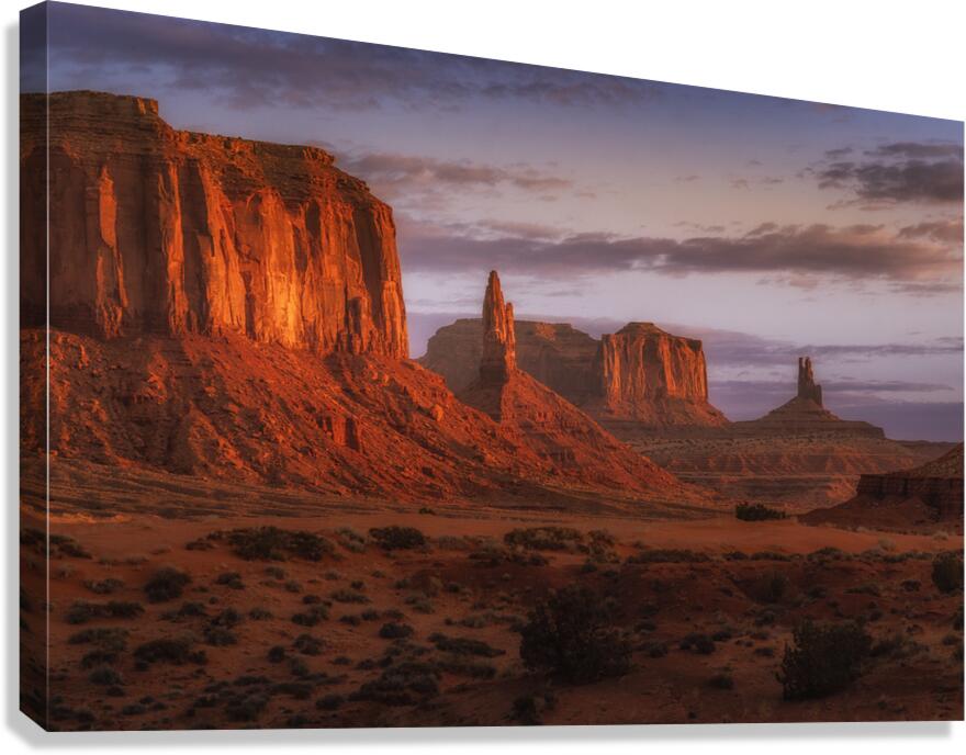 Catching Distant Light Canvas Print