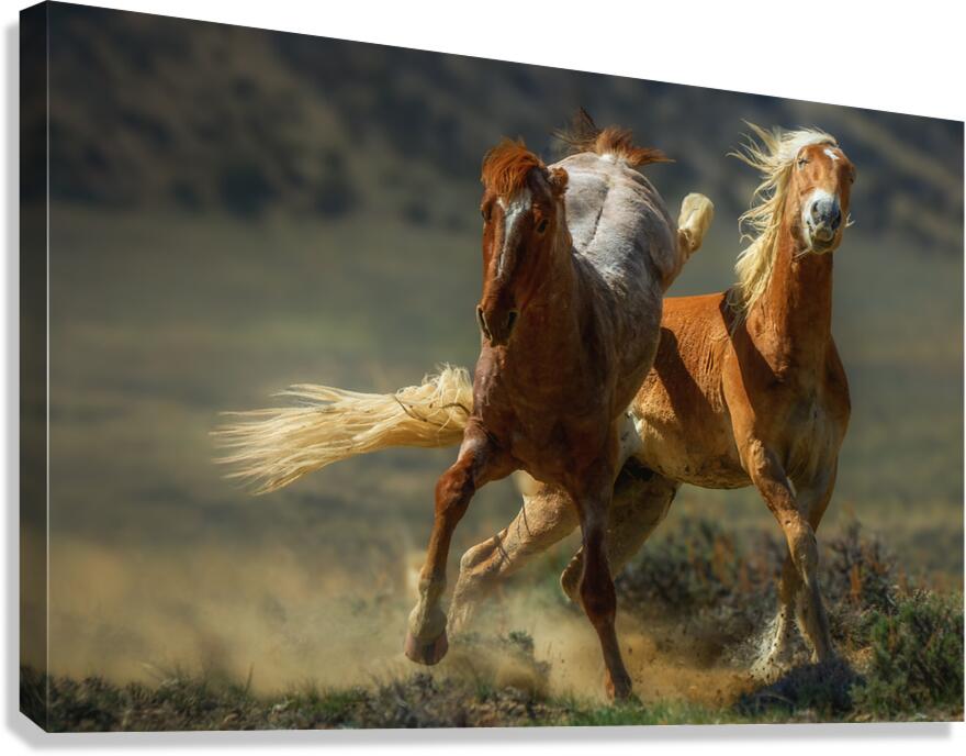 Intensity Canvas Print