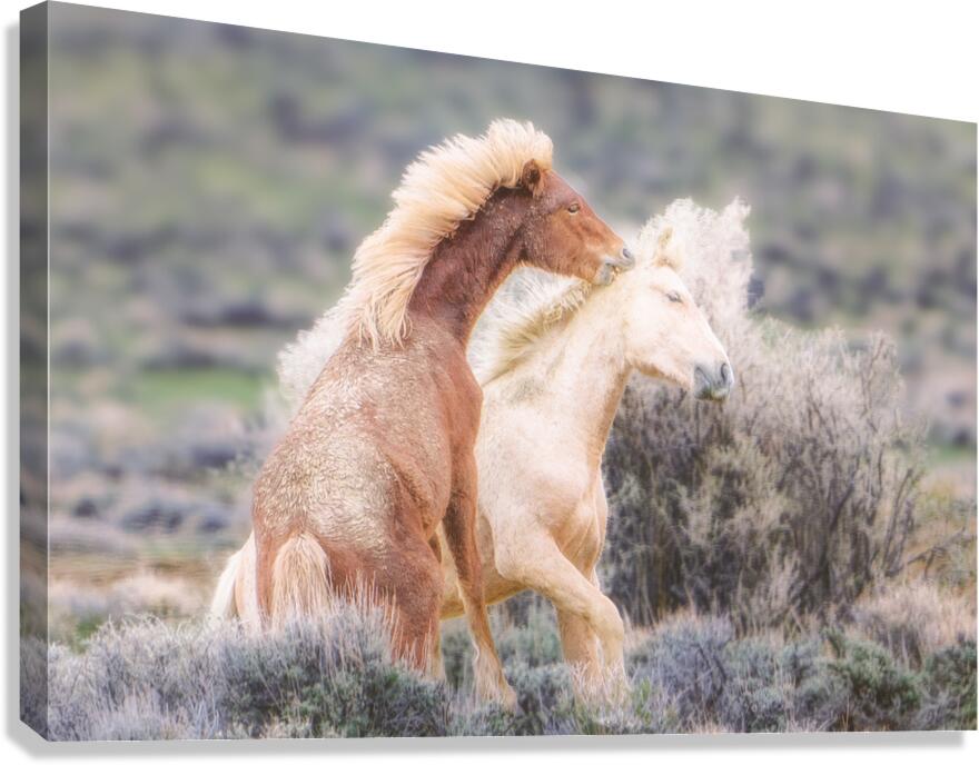 Learning Canvas Print