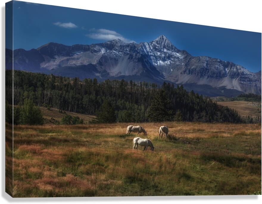 A Beautiful Background Canvas Print