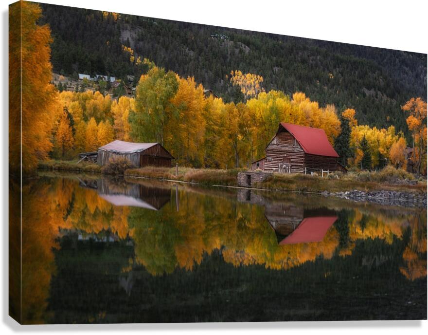 Reflections Canvas Print