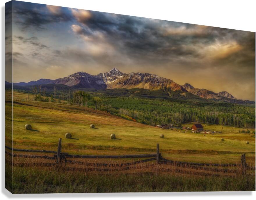 Winters Feed Canvas Print