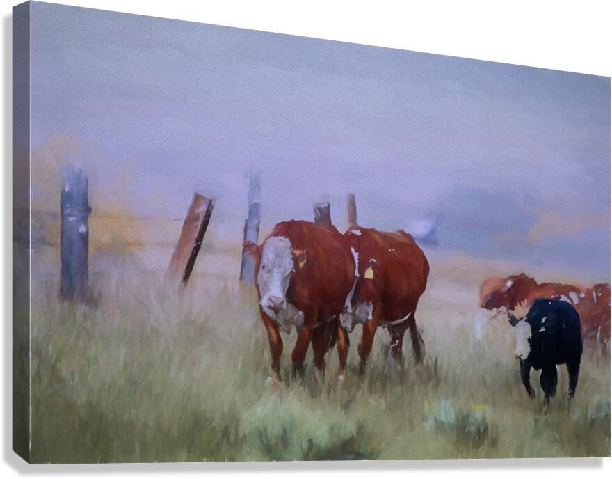 Home Going.   Canvas Print