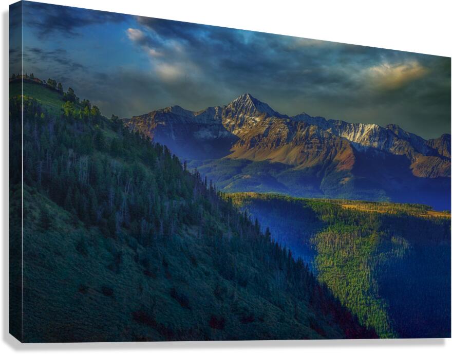 Through the Shadows  Canvas Print