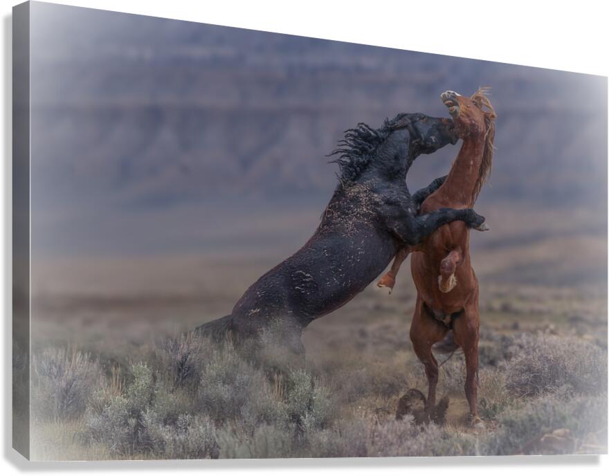Intense Canvas Print