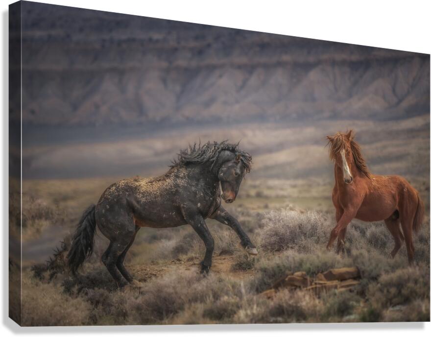 Preparations Canvas Print