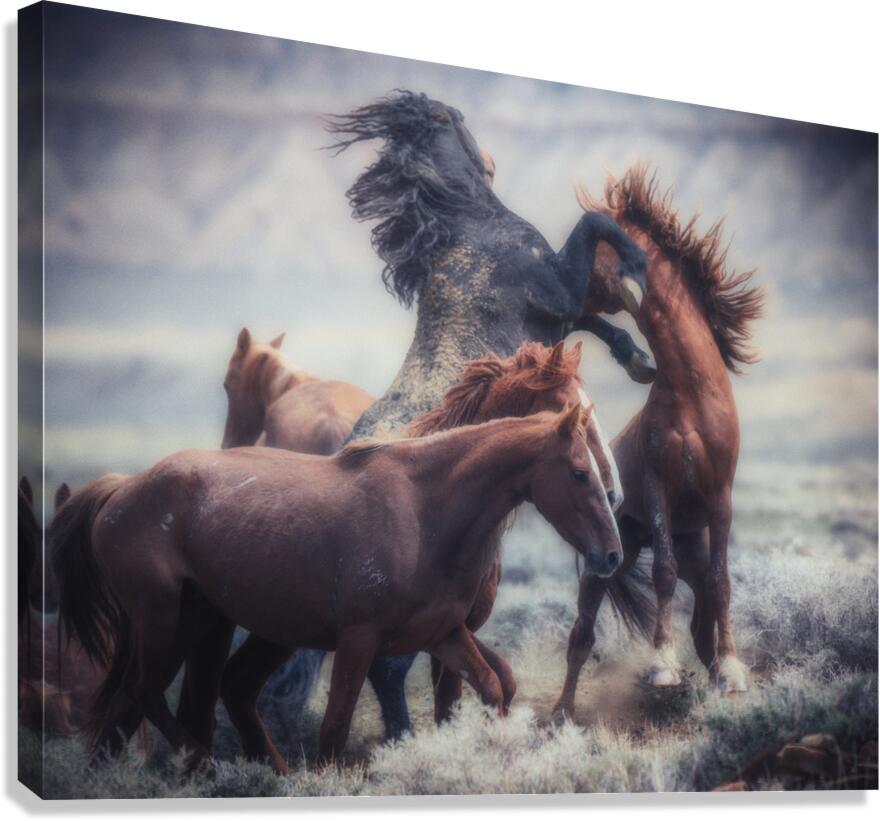 The Battle Canvas Print