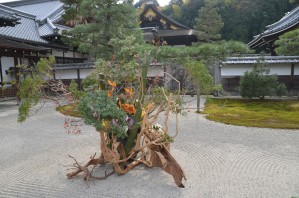 Sennyu-ji KyotoDSC_0578