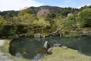 Tenryu-ji KyotoDSC_1193