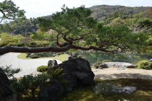 Tenryu-ji KyotoDSC_1268