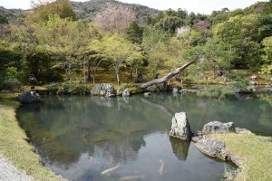 Tenryu-ji KyotoDSC_1277