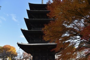 Toji Kyoto DSC_1480