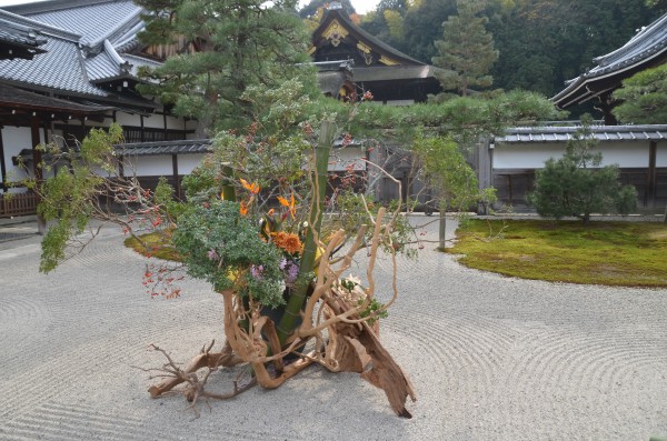 Sennyu-ji KyotoDSC_0578 Print