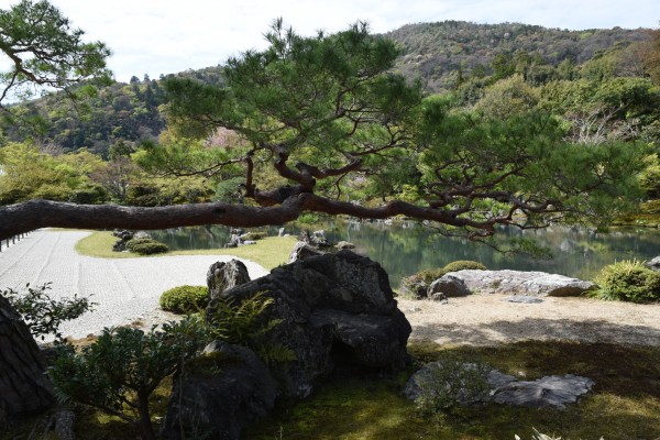 Tenryu-ji KyotoDSC_1268 Print