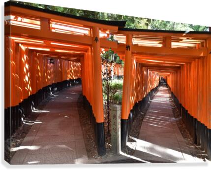 Fushimi Inari Kyoto FF4 Canvas Print
