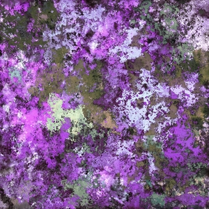 Mauve maker