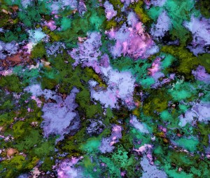 Scatter