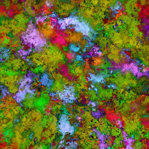 Above the tree canopy Print