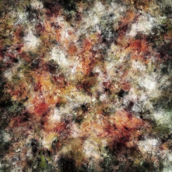 Adjustments Print