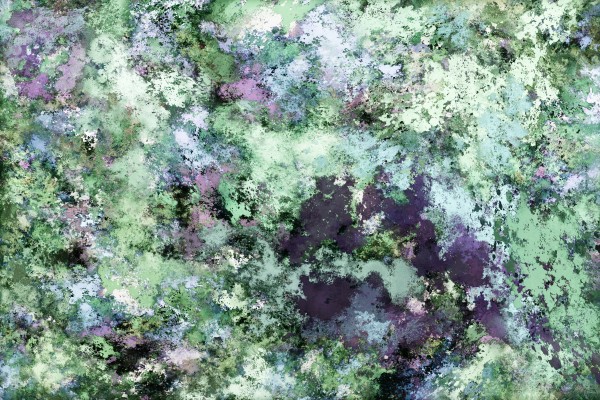 Backtrack Print