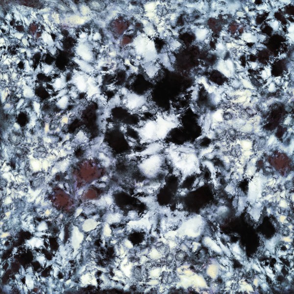 Impact Print