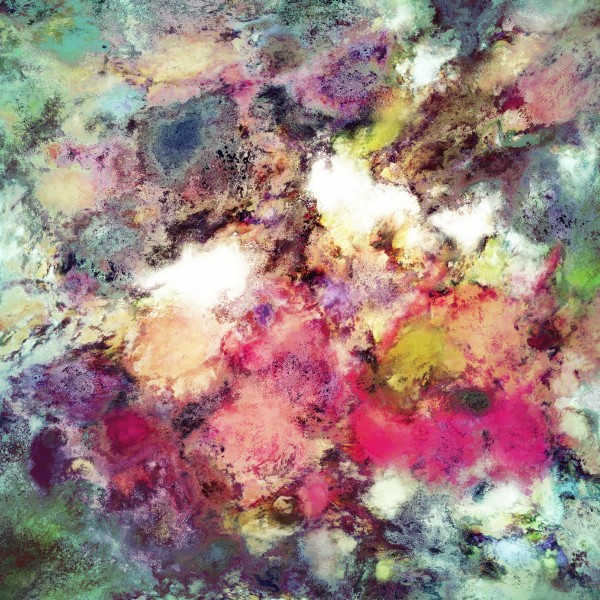 Raspberry rocks Print