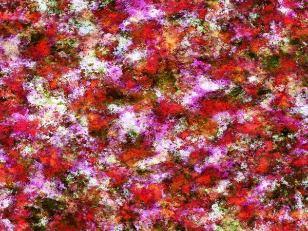 Roses Print
