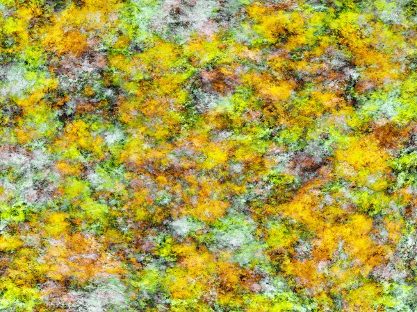 Scrambled eggs Print