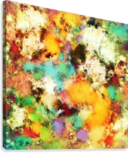 A distorted impact Canvas Print