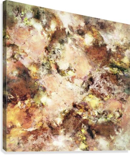 Abraded surface Canvas Print