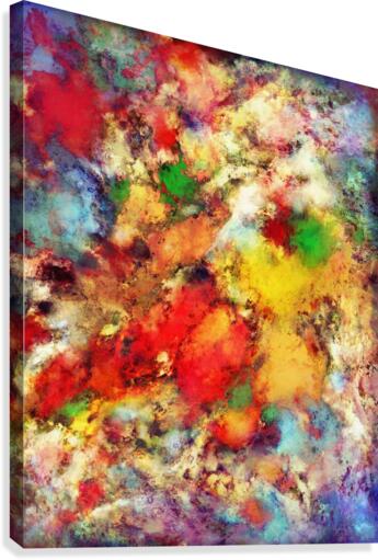 Arc Canvas Print