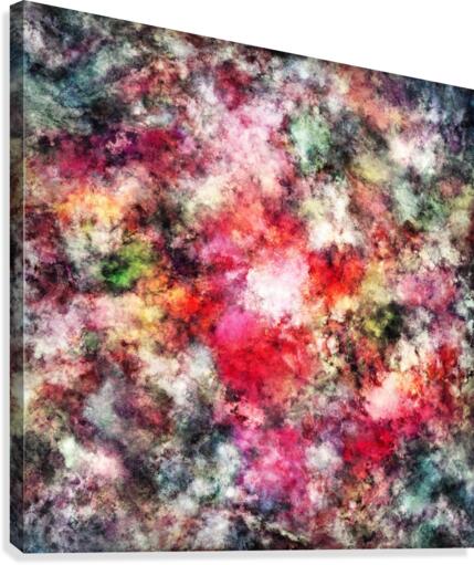 Blush Canvas Print
