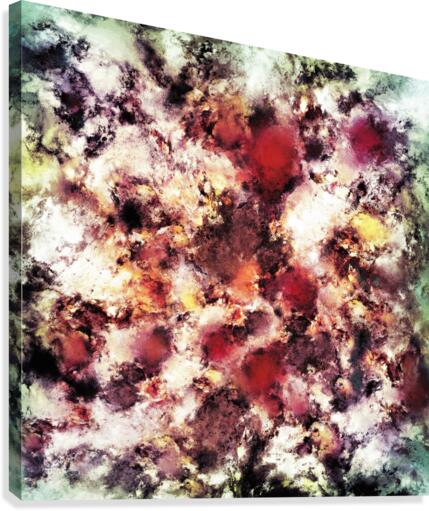Compression Canvas Print