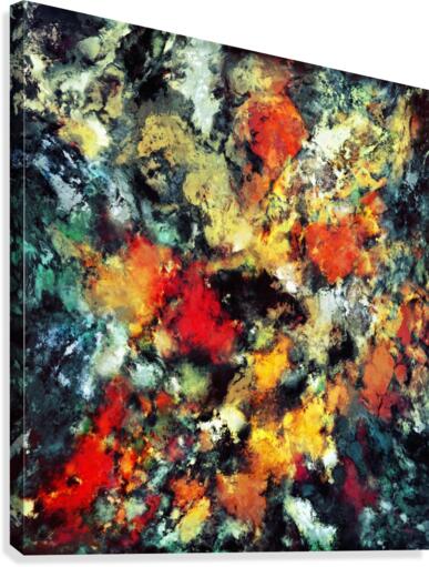 Distraction Canvas Print