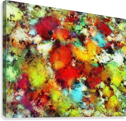 Expansion Canvas Print