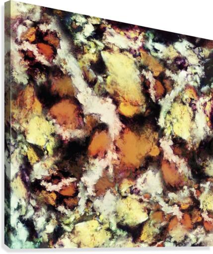 Fractured viewpoint Canvas Print
