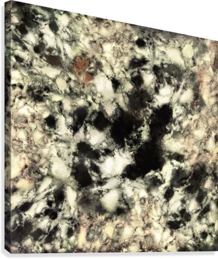 Ghost Canvas Print
