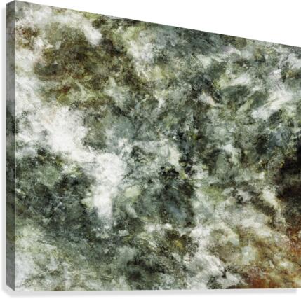 Hidden wolves Canvas Print
